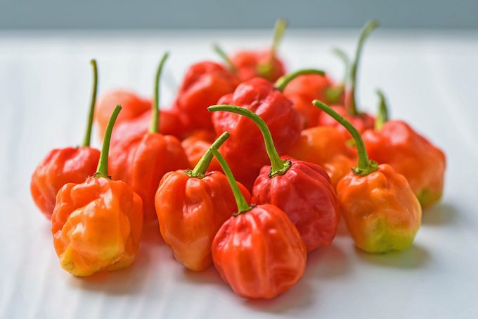 Red hot chilli peppers called Scotch Bonnet on white background.