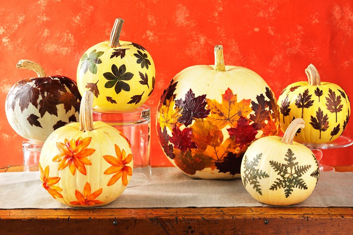 a variety of fall pumpkins with leaves