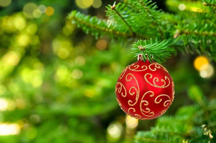 Real-Reason-Why-Christmas-Colors-Are-Green-Red-227157151-shutterstock-Didecs