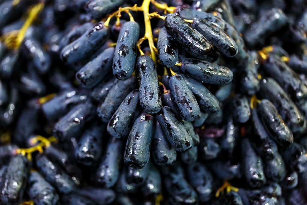 close up black seedless Moon Drops grape or Witch Fingers grape; Shutterstock ID 1136246546; Job (TFH, TOH, RD, BNB, CWM, CM): Taste of Home