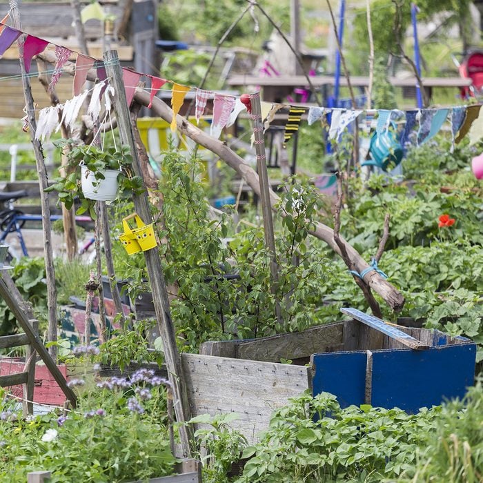 urban gardening at tempelhofer feld berlin germany; Shutterstock ID 656036599; Job (TFH, TOH, RD, BNB, CWM, CM): TOH