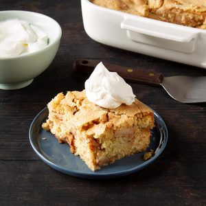 Apple Cake for Passover