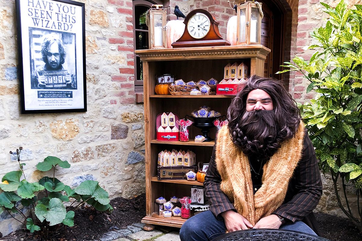 The ULTIMATE Harry Potter Party - Housewife Eclectic