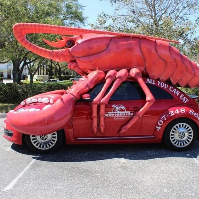Florida: Boston Lobster Feast, Orlando