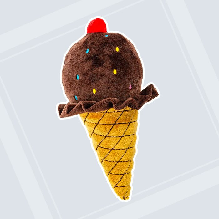 Ice Cream Squeak Toy