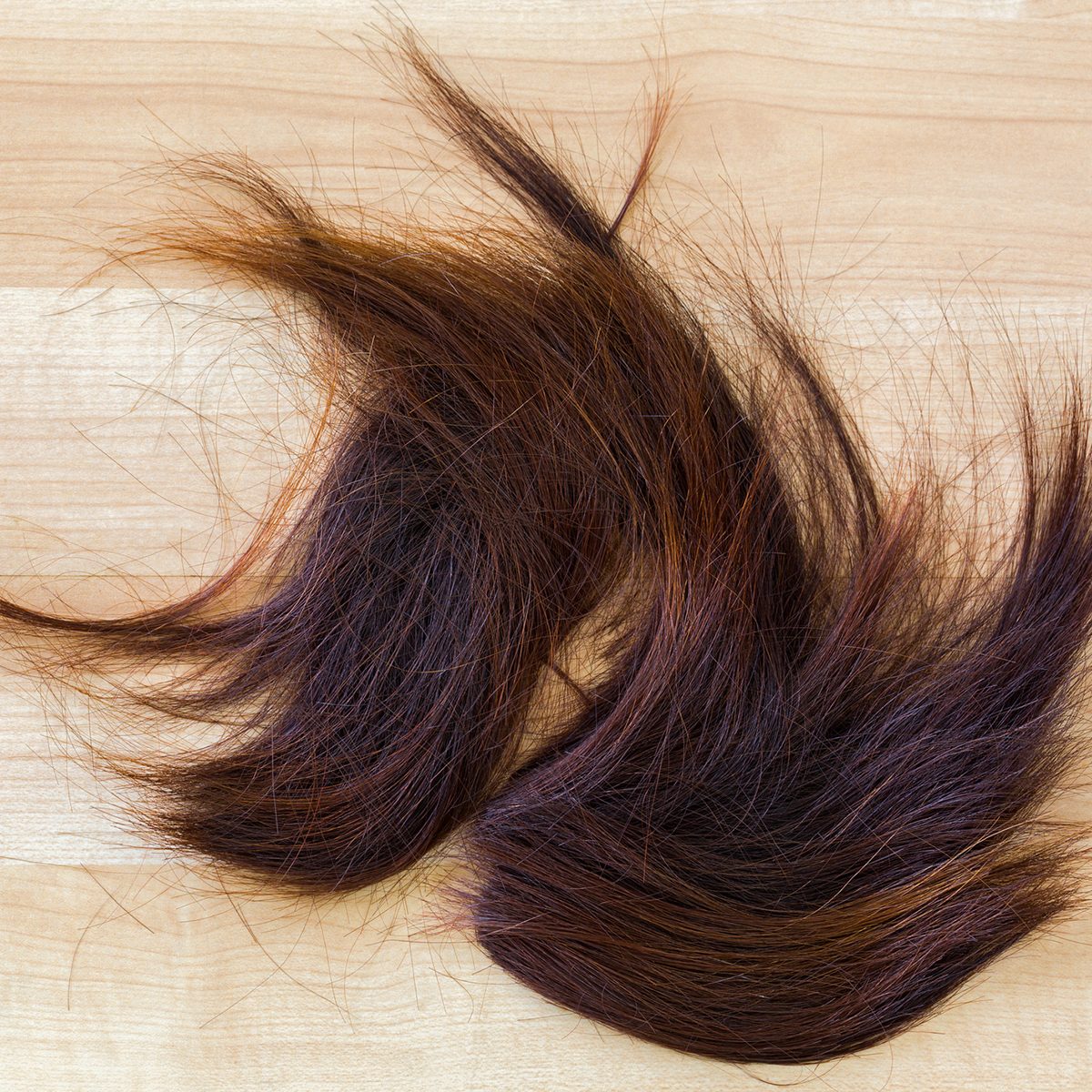 Bunch of trimmed cut off reddish brown hair on wooden floor at hairdressing salon, with copyspace