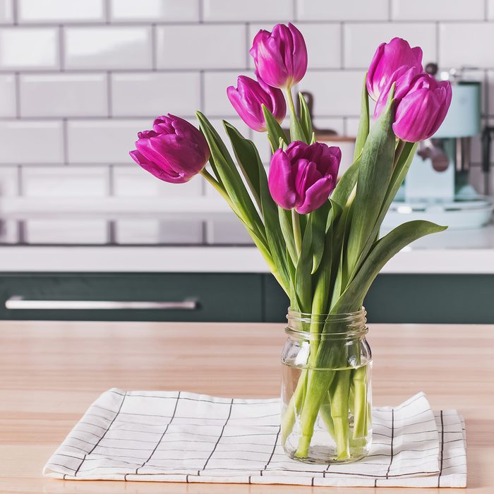 Purple tulips in a glass jar standing on the modern kitchen with white tile