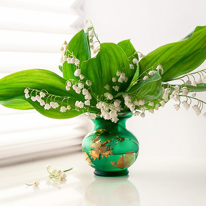 Lily of the valley flowers in a vase, against the background of a window with shutters, spring flowers. Selective focus