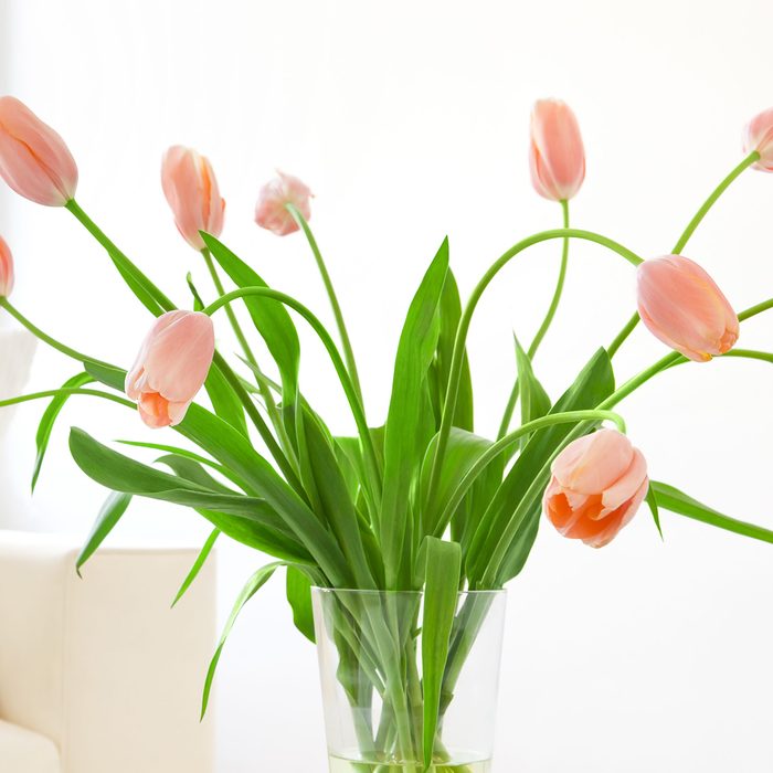 Sofa and Tulips in a modern living room.