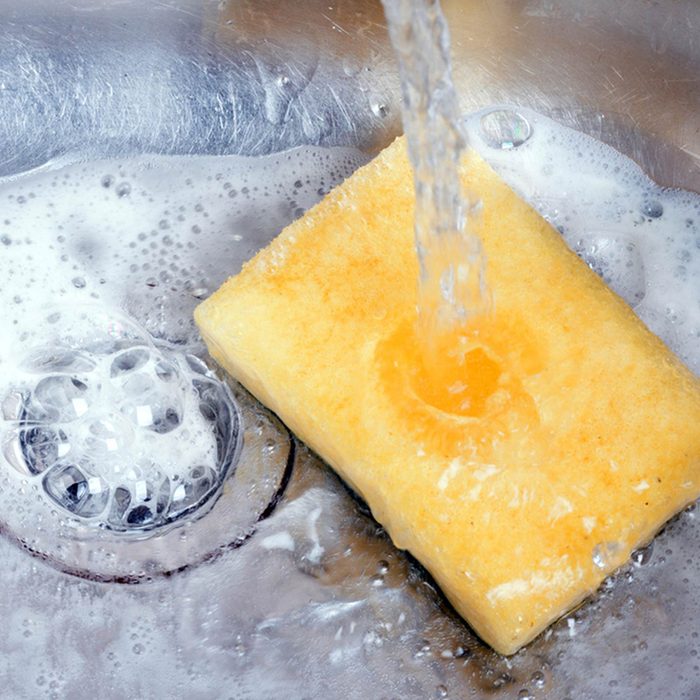Old sponge in sink