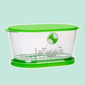 Prep Solutions by Progressive Lettuce Keeper Produce Storage Container, 4.7 Quarts