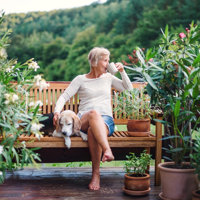 A senior woman with a dog and coffee sitting outdoors on a terrace on sunny day in summer.