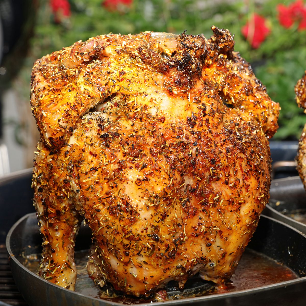 Fresh roasted Beer Can Chicken closeup
