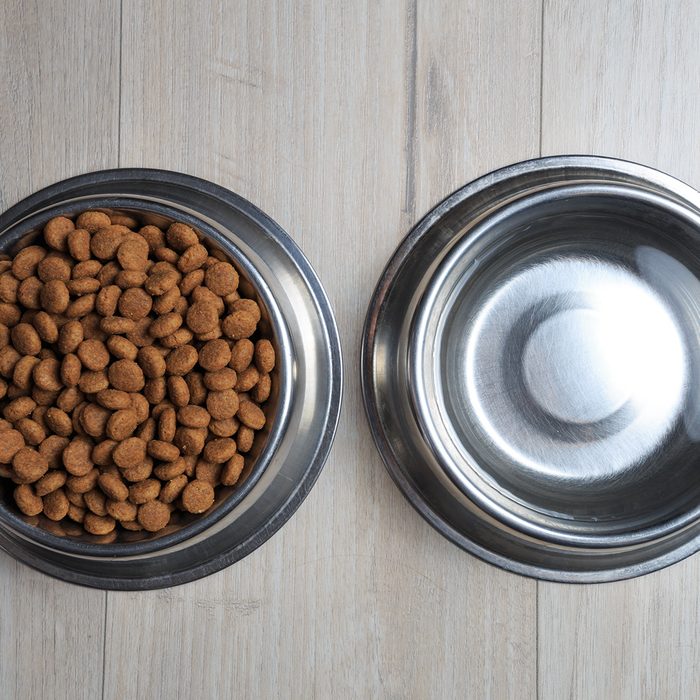 Bowls with dog food and water from above. Dog feed theme.