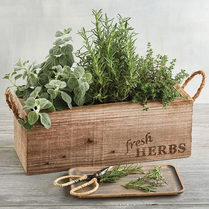 Rustic Herb Garden