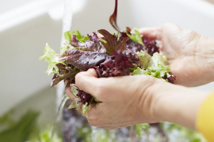 Woman washing lettuce in kitchen sink