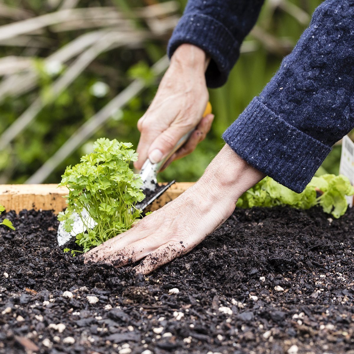 10 Solutions for Your Most Common Gardening Problems | Taste of Home