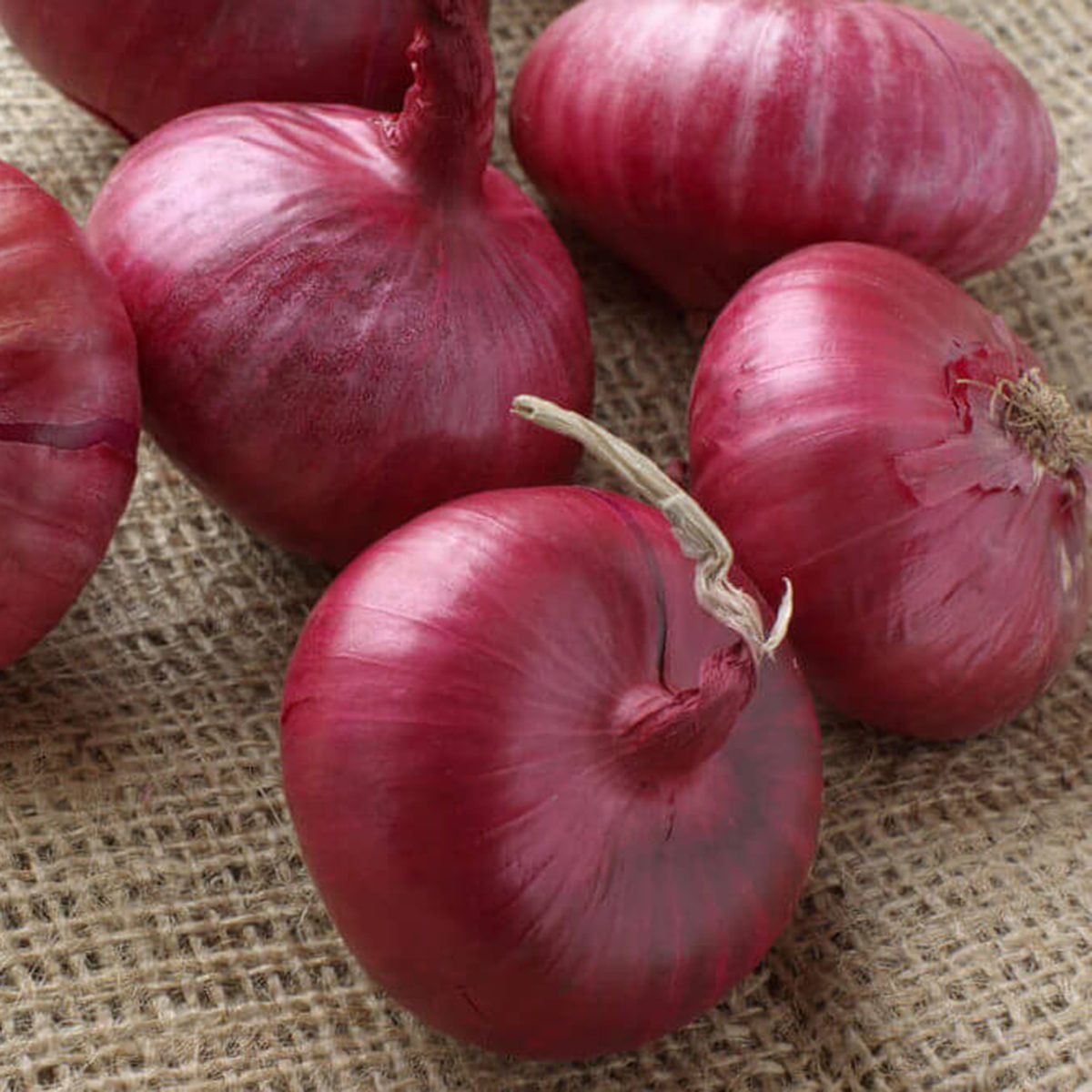 6 Zesty Substitutes For Shallots