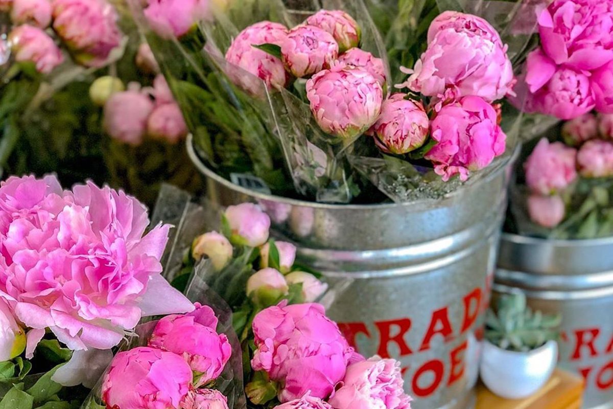  Trader Joe s Just Brought Back Their Famous Peonies 