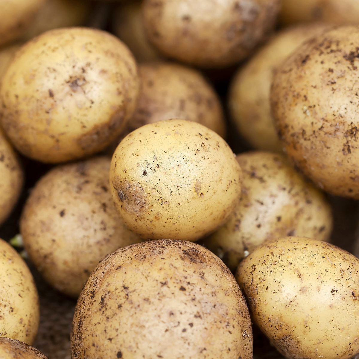 Bunch of potatoes