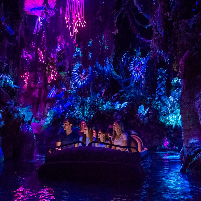 LAKE BUENA VISTA, FL - MAY 24: In this handout photo provided by Disney Resorts, a view of the new Pandora: World of Avatar attraction inside Disneys Animal Kingdom during the dedication ceremony on May 24, 2017 at Disneys Animal Kingdom inside the Walt Disney World Resort in Lake Buena Vista, Florida. The World of Avatar opens on May 27, 2017. (Photo by Steven Diaz/Disney Resorts via Getty Images)