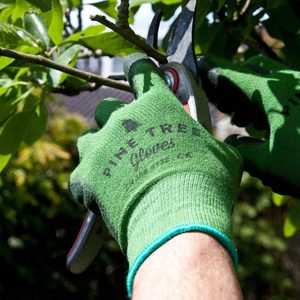 Man wear work gloves while pruning