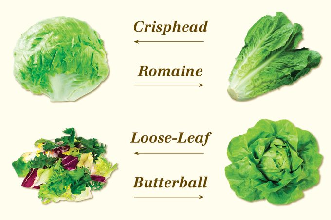 lettuce types graphic