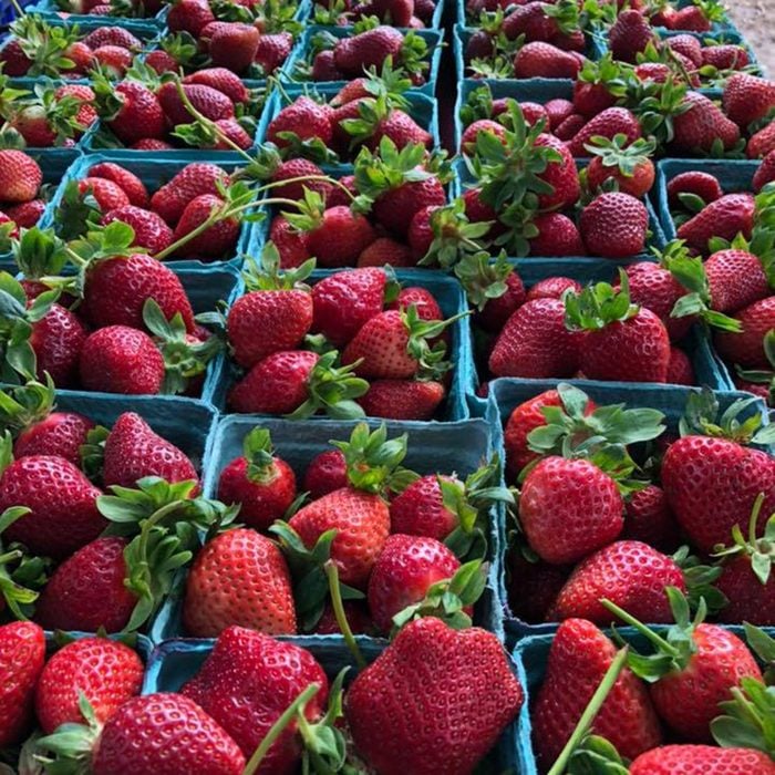 Hope Street Farmers' Market