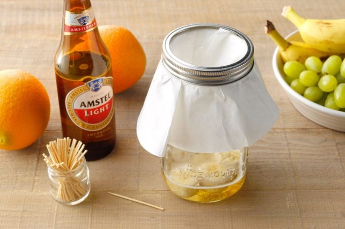 https://www.tasteofhome.com/wp-content/uploads/2020/08/Homemade-Cleaners-Fruit-Fly-Trap-TOHSLPL23_PU6186_DR_04_04_8b-trap-5-beer-and-rotten-banana.jpg?fit=680%2C454