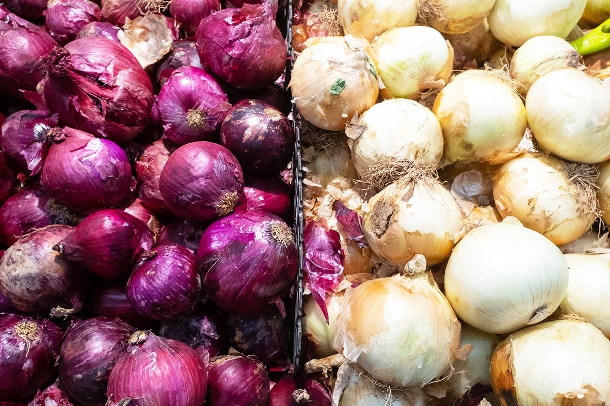 Red, Yellow and White Onions Are Recalled for Salmonella Risk