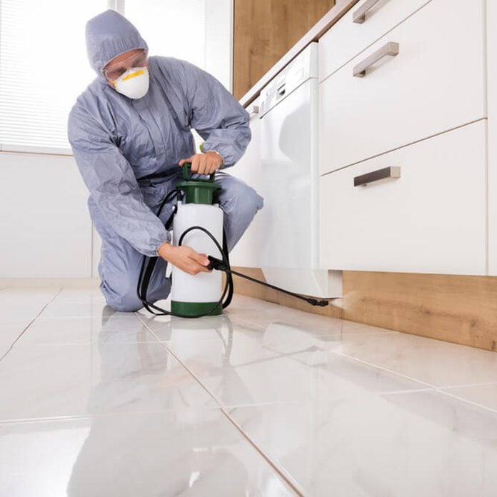 Exterminator In Workwear Spraying Pesticide With Sprayer