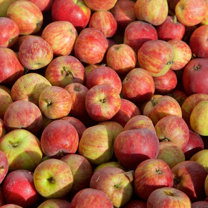 red winesap apples background at apple harvest