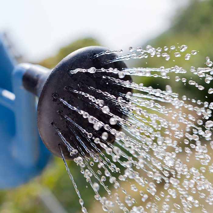 Watering can