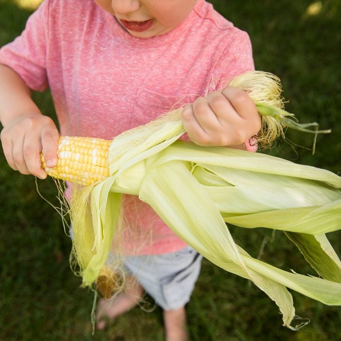 Boy (4-5) peeling corn cob