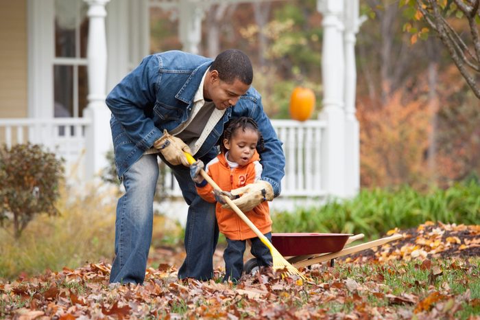 Black father and daughter raking leaves