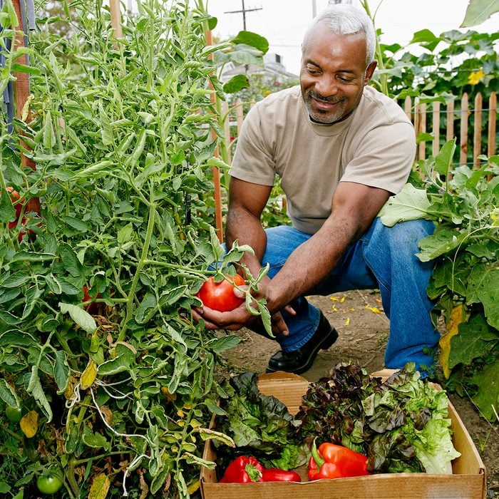 THOUGHTFUL ​ CONSUMPTION​ Food Trends Report, Black man gathering vegetables in community garden
