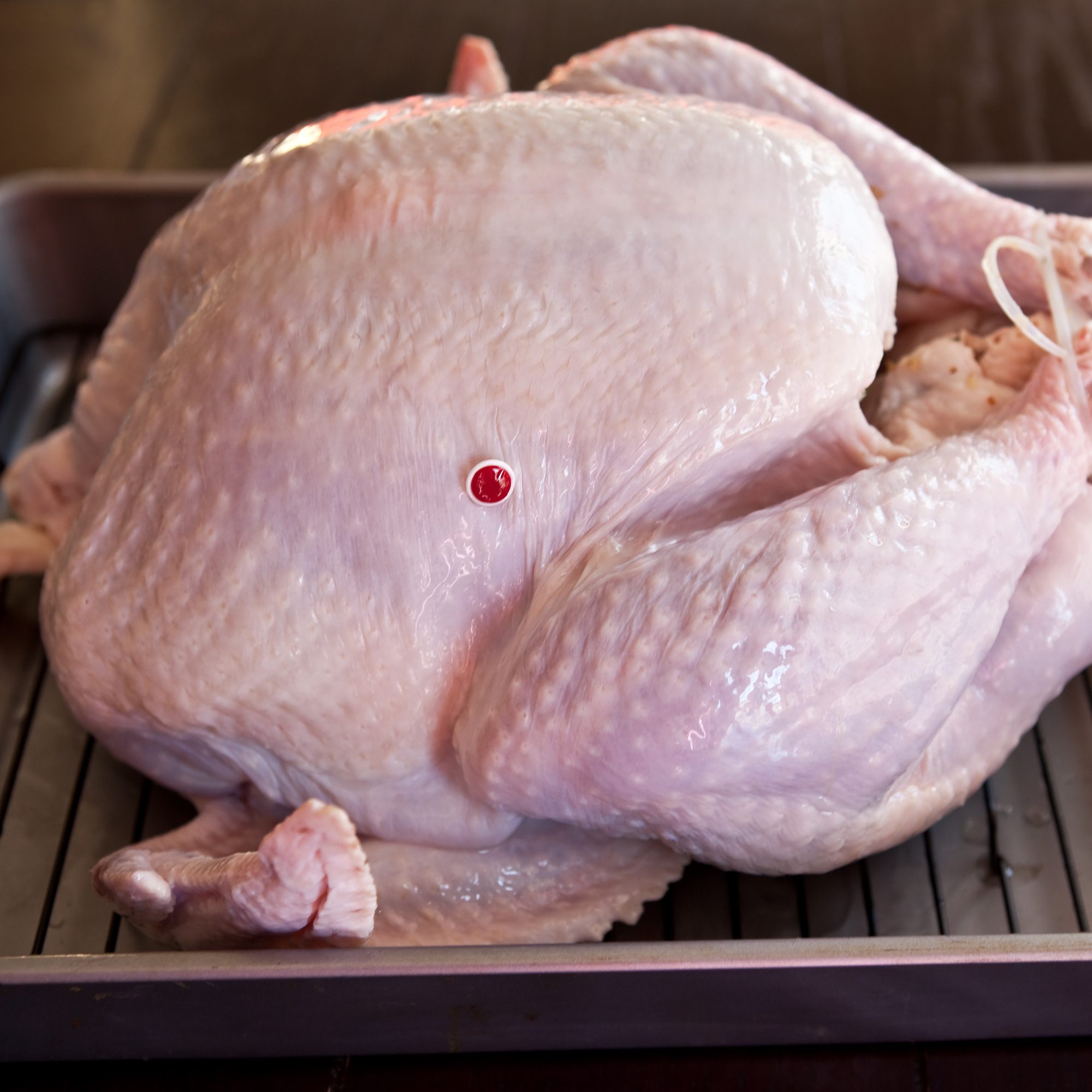 An uncooked turkey in a baking pan.
