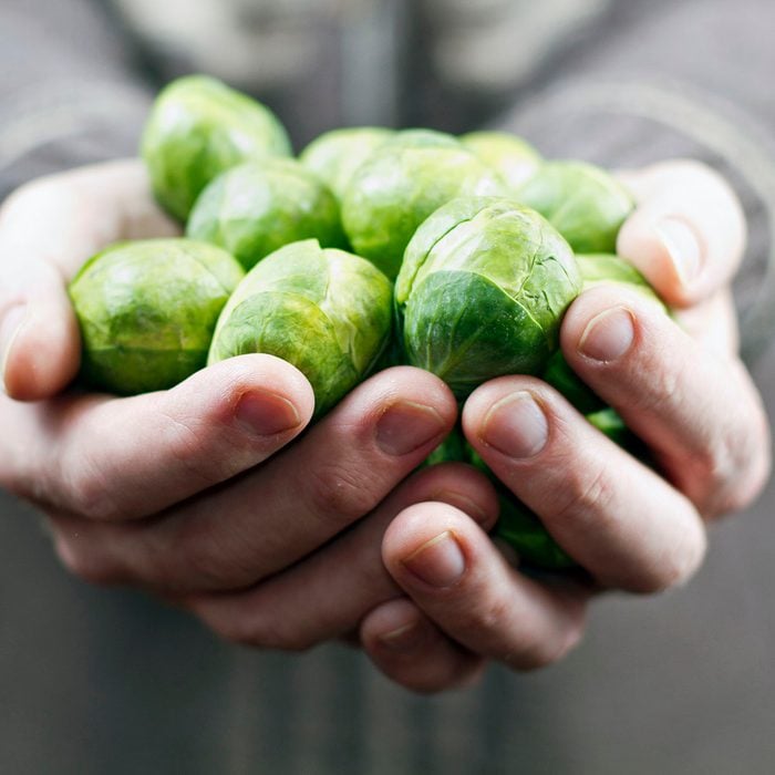 Mans hands holding handful of Brussels sprouts.