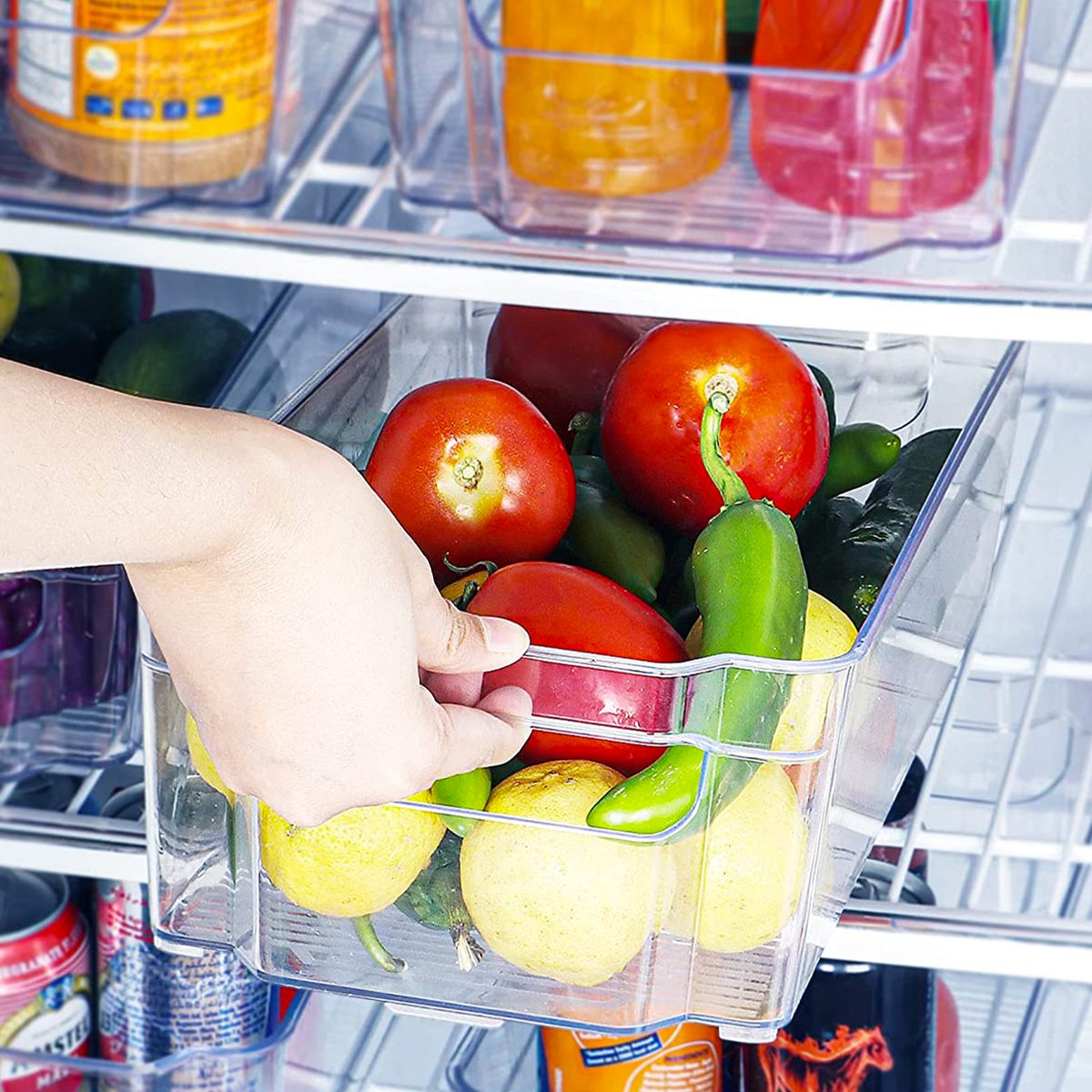 The 13 Best Refrigerator Organizers for 2024