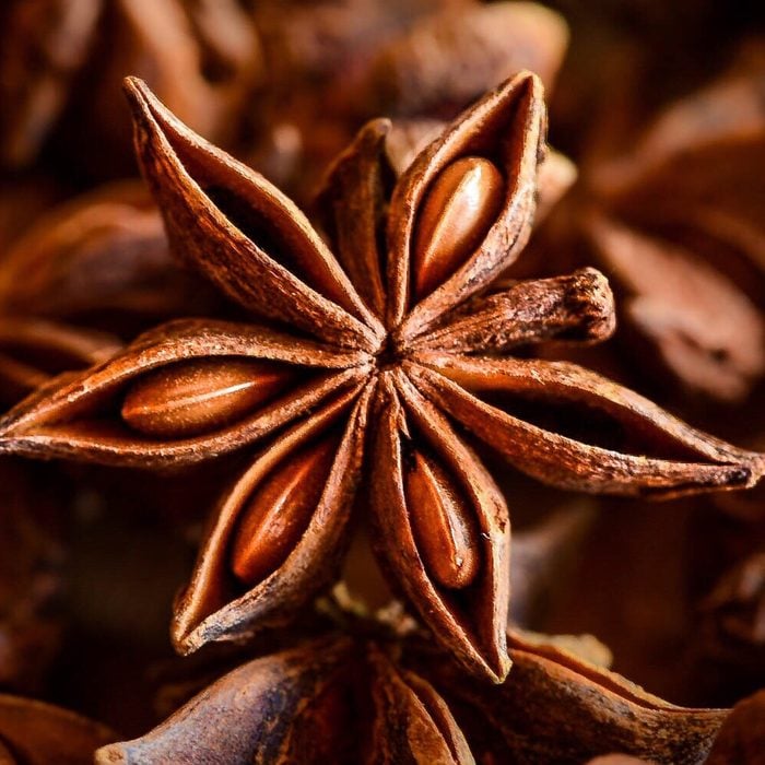 indian spices Close-Up Of Star Anise