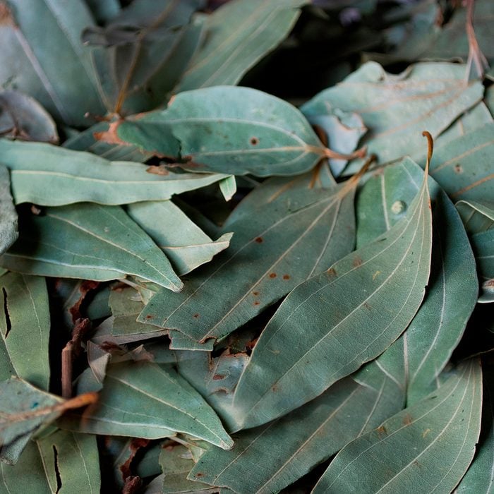 indian spices Full Frame Of Bay Leaf. (Photo by: Madhurima Sil/IndiaPictures/Universal Images Group via Getty Images)