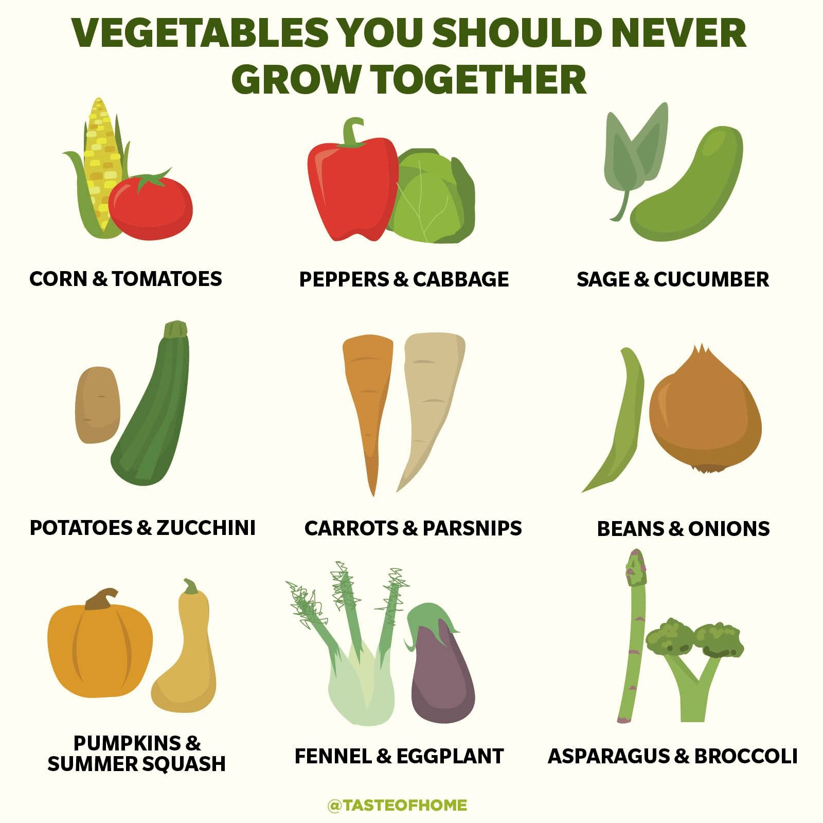 Image of Vegetables that should not be planted together because they compete for nutrients or space