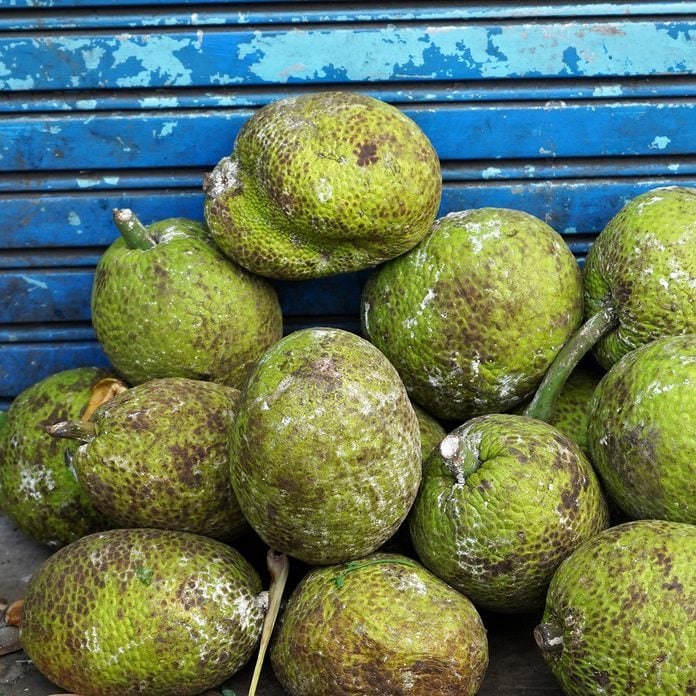 Breadfruit Or Sukun traditional jamaican foods
