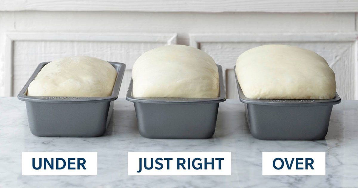  How to Proof Bread Dough (Even When Its Cold Outside)