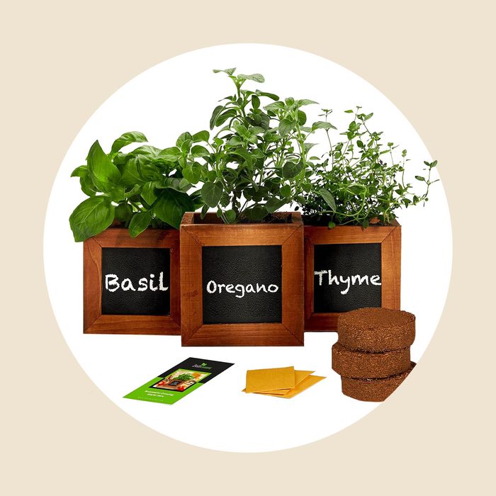 Chalkboard Planter Set