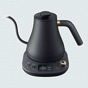 Electric Tea Kettle Review 2021