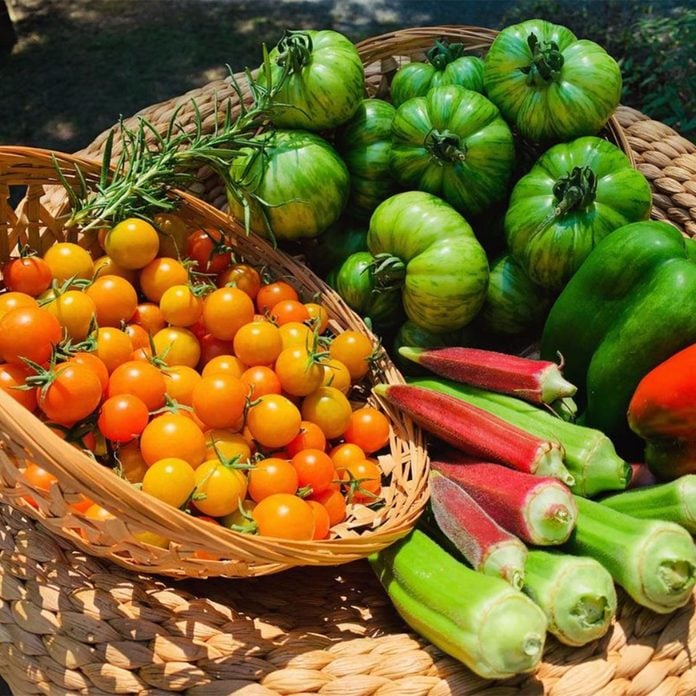 Baskets Of Veggies vegetable gardening for beginners