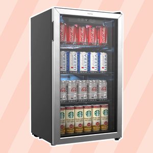Homelabs Beverage Refrigerator Cooler Adjustable