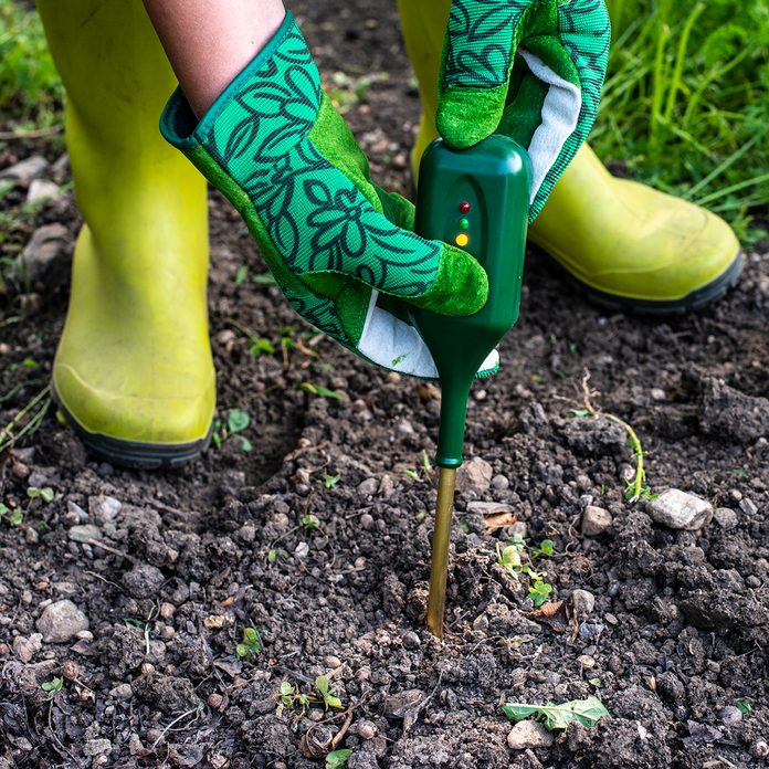 vegetable gardening for beginners Nutrients Soil Meter. Measure Soil For Nitrogen Content With Digital Device. Woman Farmer In A Garden.