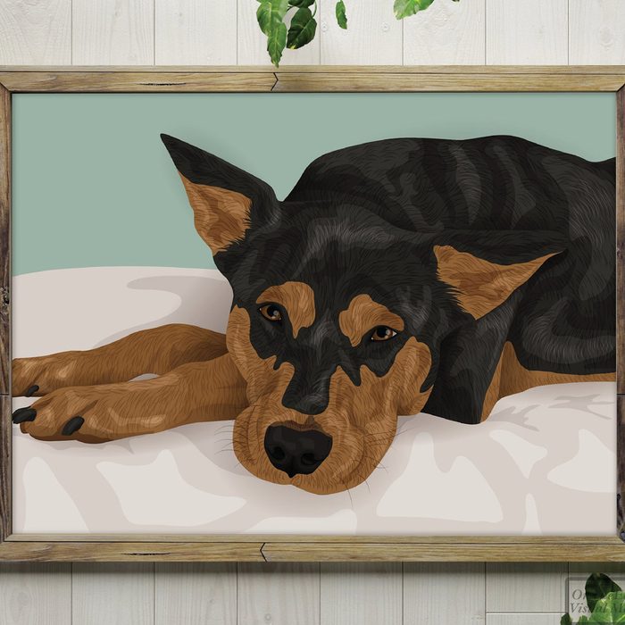 gifts for people who have everything Custom Pet Portrait Gift For Pet Lover